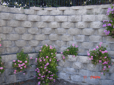 Retaining Wall Gallery Picture 2