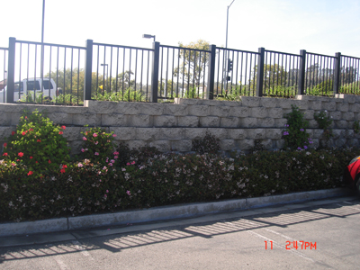 Retaining Wall Gallery Picture