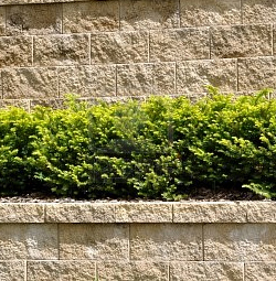 Retaining Wall Landscape 4